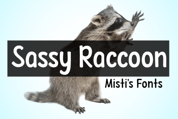 Sassy Raccoon: A Playful Display Typeface for Digital Brands